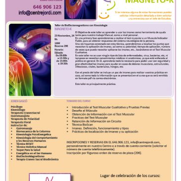 Taller de BioElectroMagnetismo Noviembre